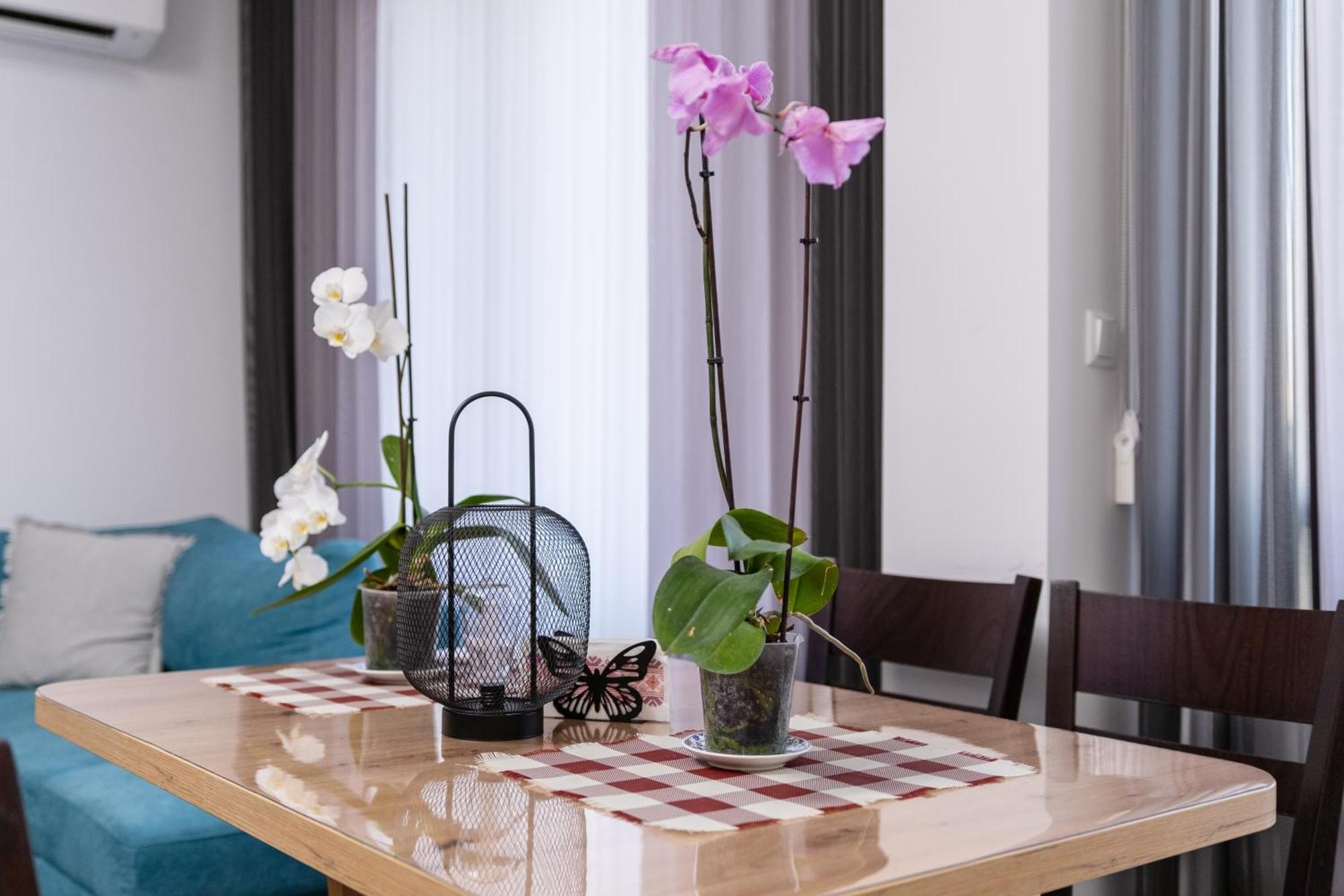 פלובדיב 1-Bedroom Apartment With Free Private Parking מראה חיצוני תמונה
